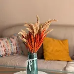 Dkapartments Amrita Νεσέμπαρ