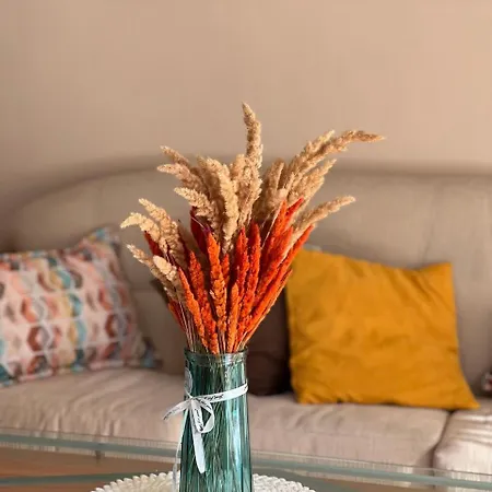 Dkapartments Amrita 内塞伯尔