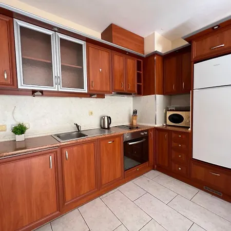 公寓 Dkapartments Amrita 内塞伯尔