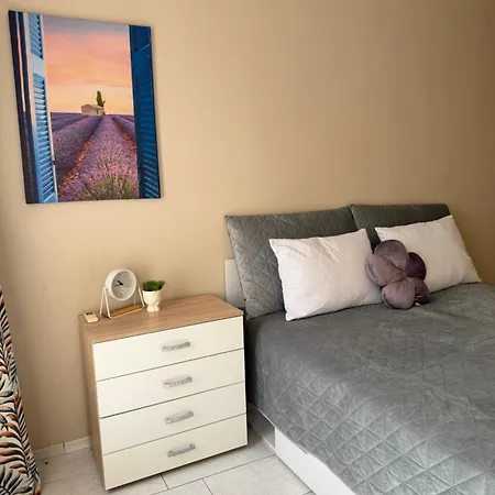 Daire Dkapartments Amrita Misivri